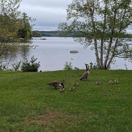 Alamoosook Lakeside Inn Orland Eksteriør bilde